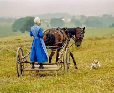 Pourquoi les Amish ? Retour sur un stéréotype